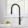 Brand New Black Water Matt Faucet Kitchen Mixer Made In China