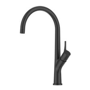Common Style Kitchen Faucet Material Black