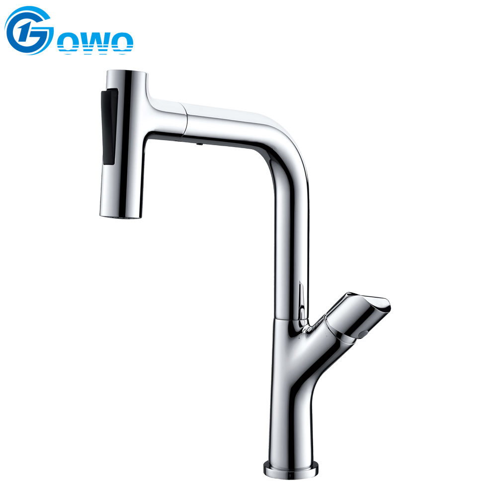 kitchen faucet with sprayer