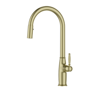 Matte Gold Kitchen Faucet Special Design Single Handle 