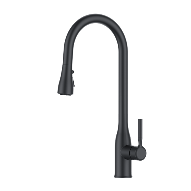 Hot Selling Kitchen Faucet Material Matte Black