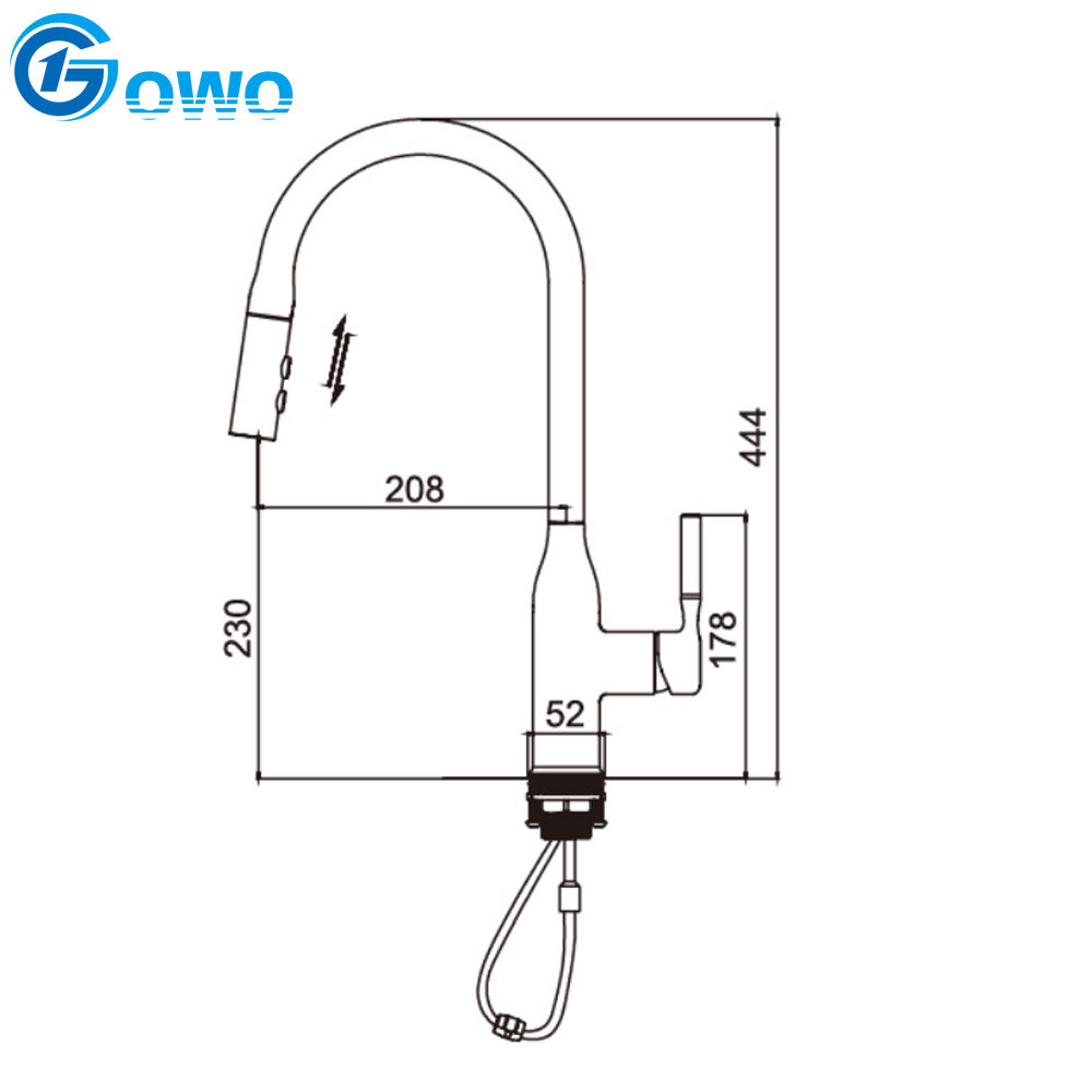 kitchen faucets pull down sprayer