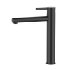 European Design Black Brass Basin Faucet High Level