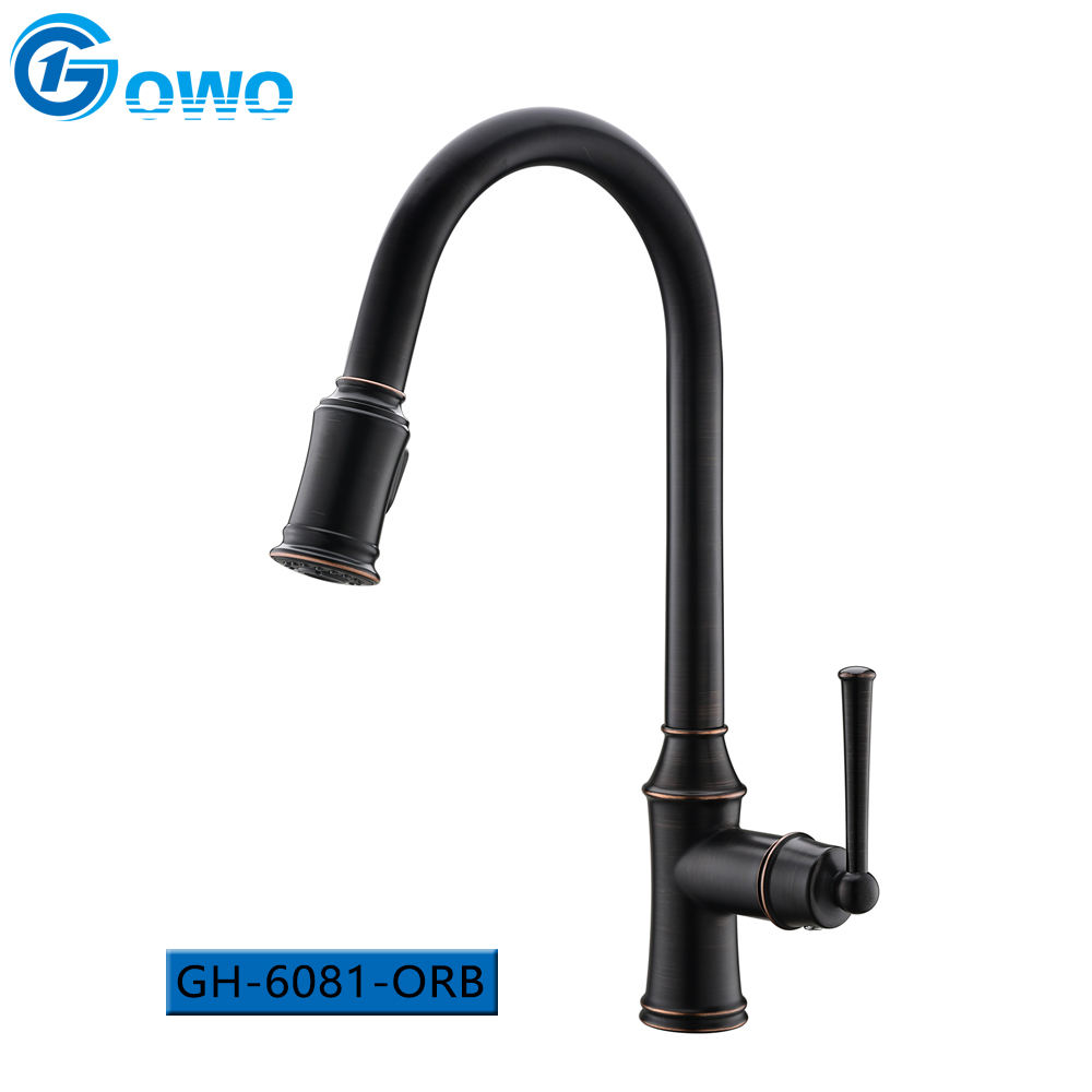 kitchen pulldown faucet
