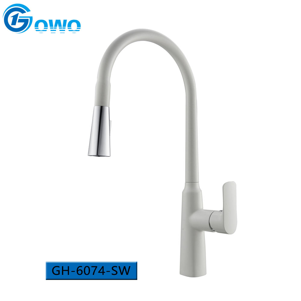 kitchen faucet with sprayer