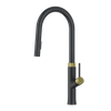 Black Gold Modern Pull Down Design Single Handle Kitchen Faucet 