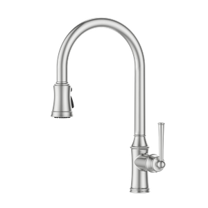 Novel Design Classical Brushed Nickel Kitchen Faucet European Style