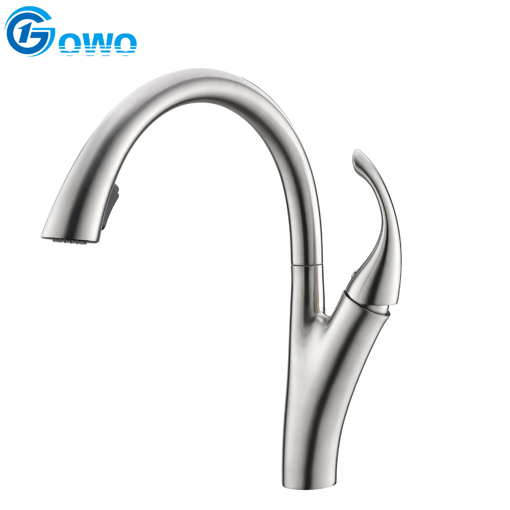 Trendy Style Zinc Alloy Material Stainless Steel Spout Hide Spray Kitchen Mixer