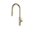 Brass Brushed Gold Pull Out Kitchen Faucet