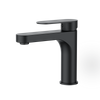 Conventional Basin Bathroom Faucet Matte Black