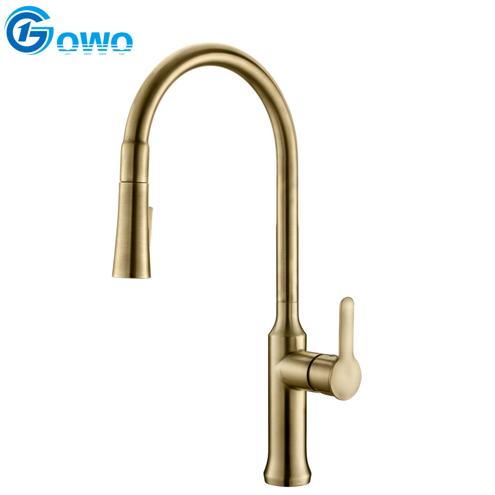 leaky kitchen faucet