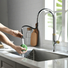 Brass Material Pull-out Spray Kitchen Sink New Design UPC Faucet