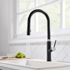 Professional Black Sink Water Removable Faucet Kitchen Tap With High Quality