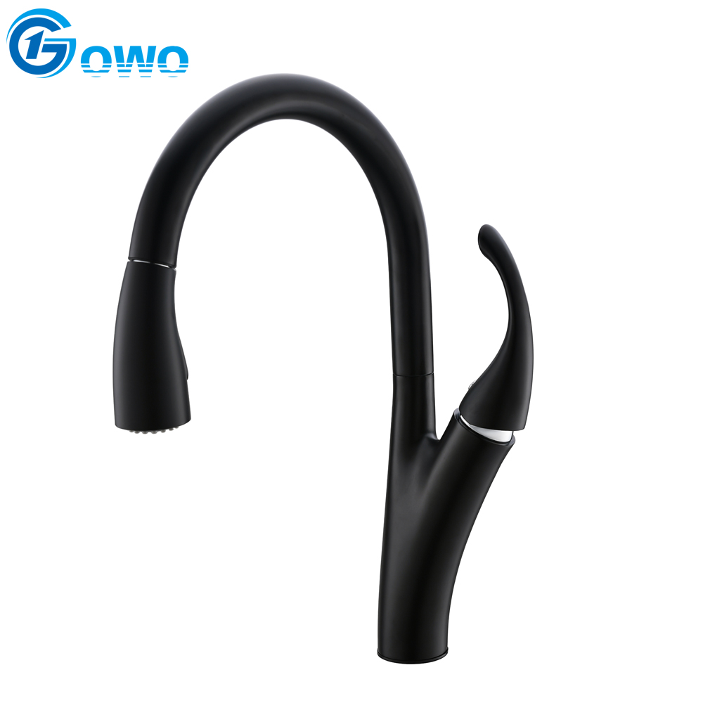 Swan Neck New Design Matt Black Hot Sale Pull Down with Two Function Sprayer Kitchen Faucet