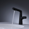 Black Long Body Pull-out Spray Lavatory Luxury Basin Water Tap