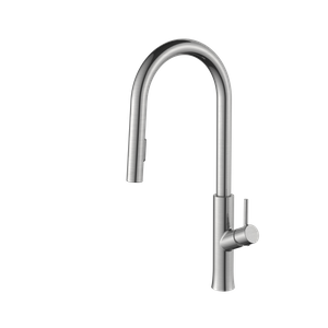 Flexible Single Handle Kitchen Faucet with Pull Down Sprayer