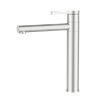  European Design Brushed Nickel Brass Basin Faucet High Level