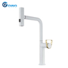 Single Handle Pull Out Tap with Pull Down Spray Low Lead Brass Core Kitchen Faucet GH-6033-MW