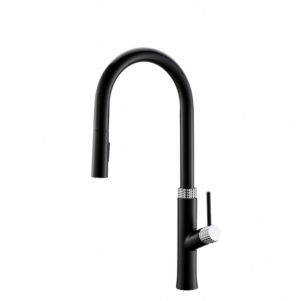 Professional Black Sink Water Removable Faucet Kitchen Tap With High Quality