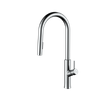 Super Chrome Kitchen Sink Faucet with Pull Down Sprayer