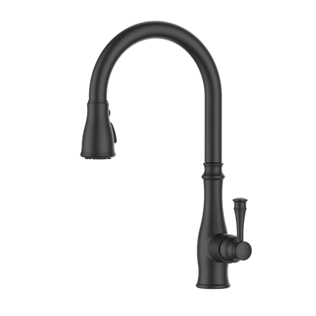 Matte Black Kitchen Faucet European Design