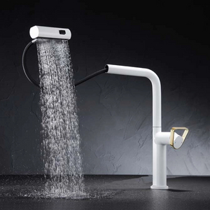 Single Handle Pull Out Tap with Pull Down Spray Low Lead Brass Core Kitchen Faucet GH-6033-MW