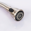 Brush Nickel Treatment Zinc Body Big Two Function Shower Spray Kitchen Faucet