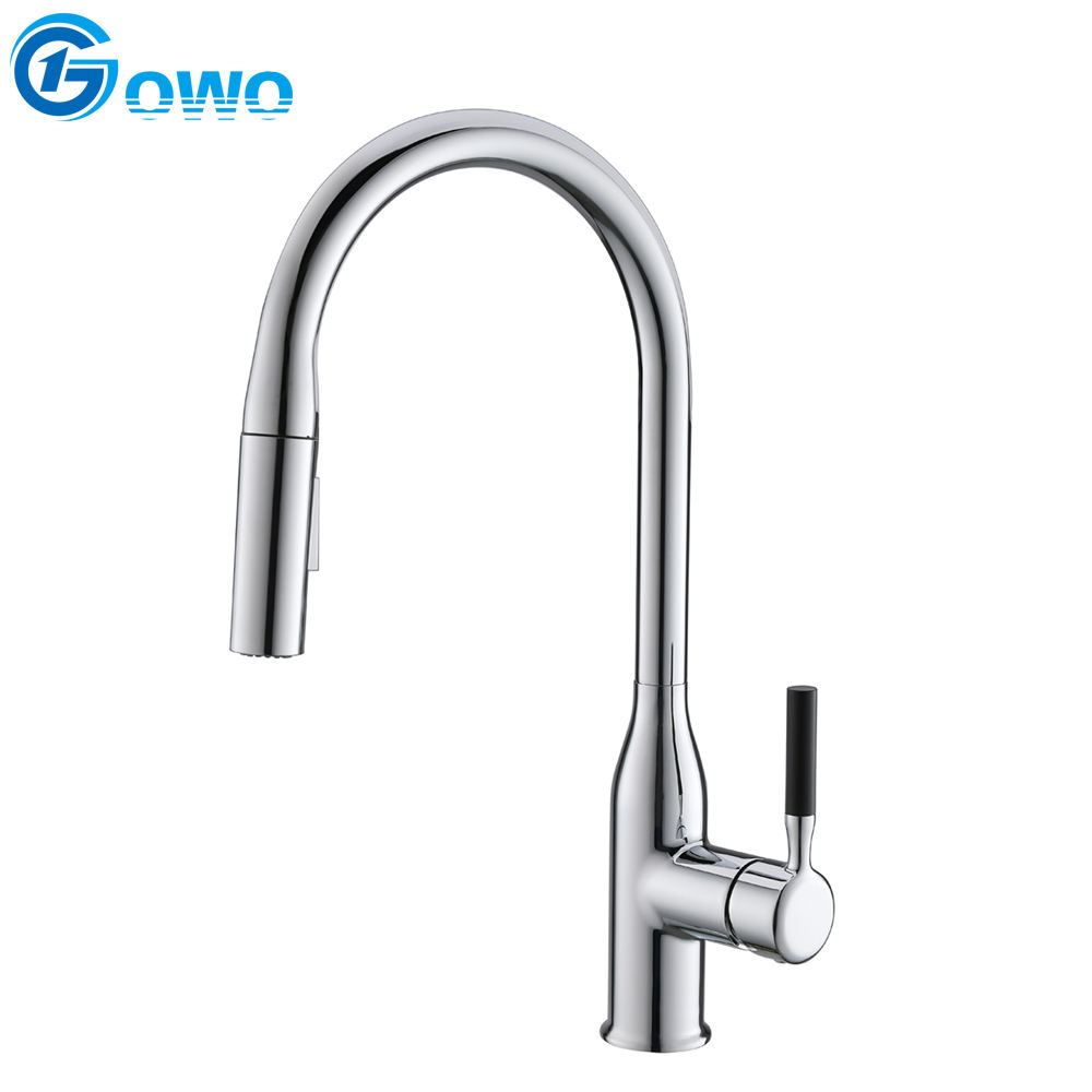 kitchen faucet pull down sprayer