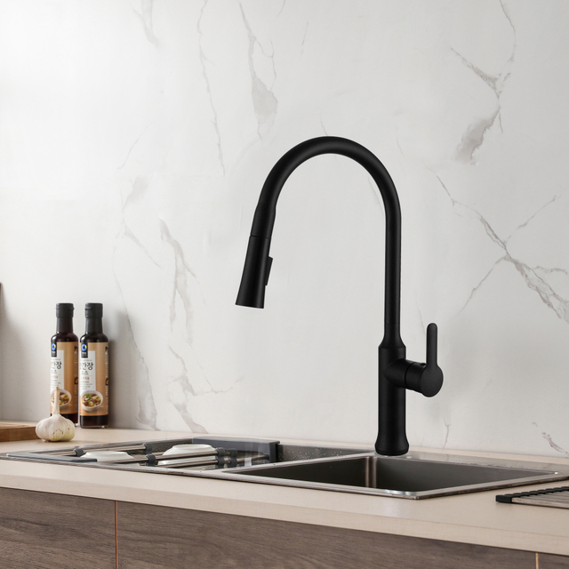 Normal Design Matte Black Kitchen Faucet Fashion Style